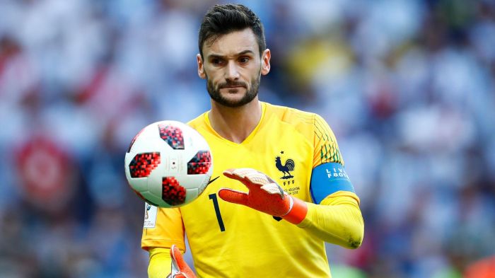 Image result for hugo lloris