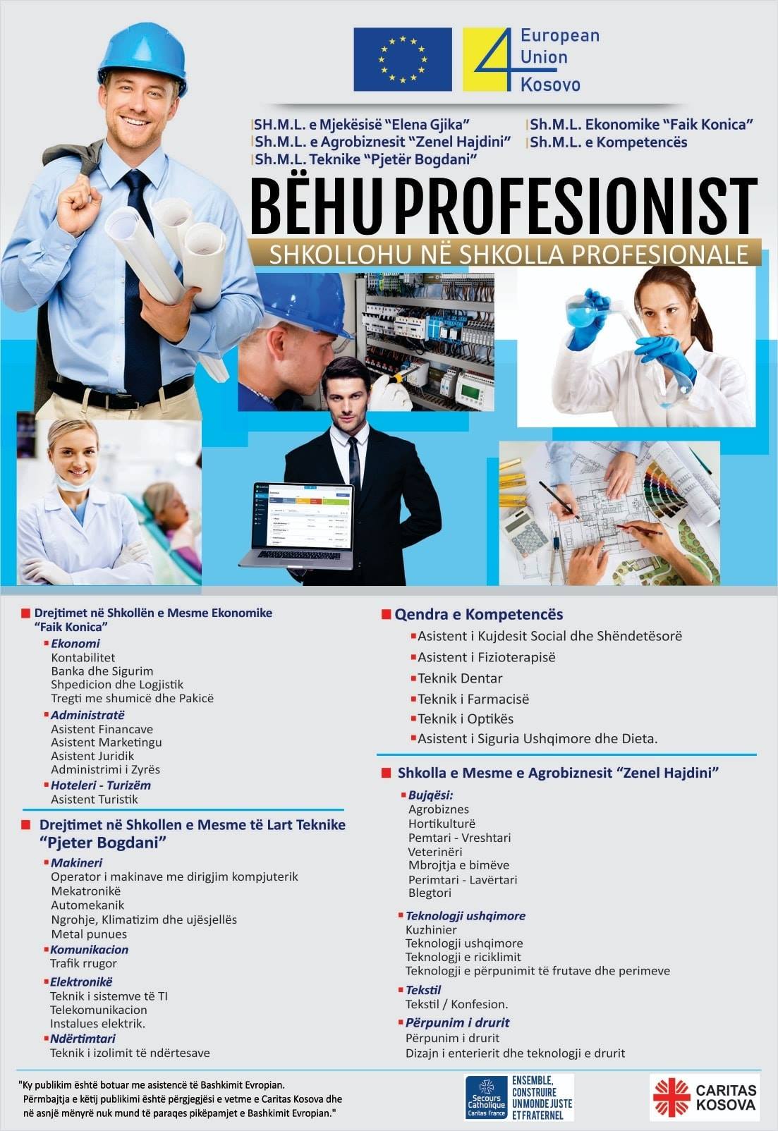 behu_profesionist