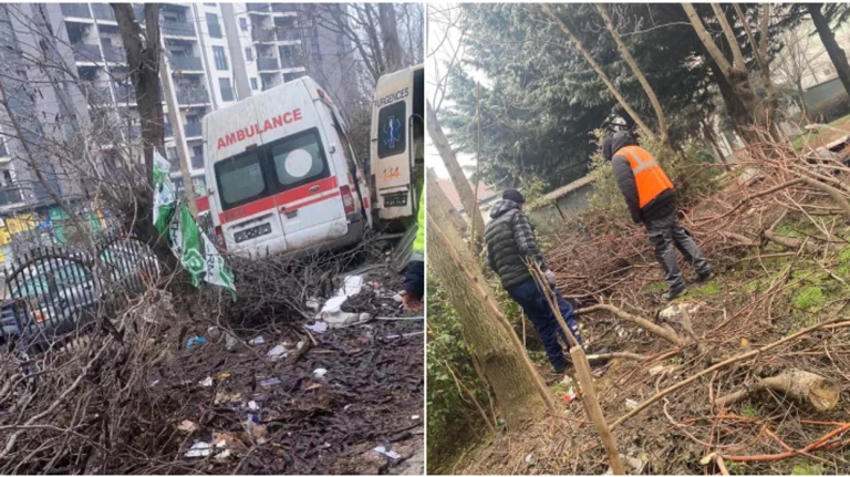 NPL “Ambienti” pastron oborrin e QKMF-së dhe mirëmban parkun e fshatit Gremë