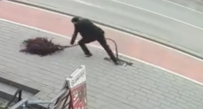 Vandalizimi i pronës publike në Ferizaj – Dëmtohen drunjtë dekorativë në rrugën “Ahmet Kaçiku”